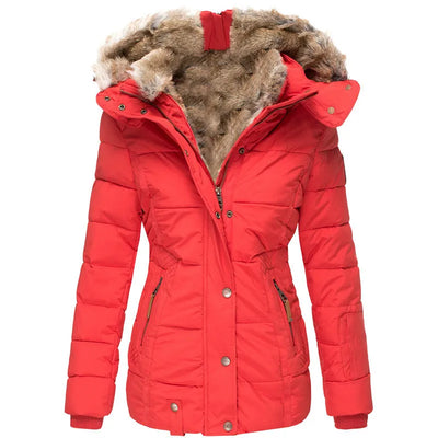 Jayda – Jacket